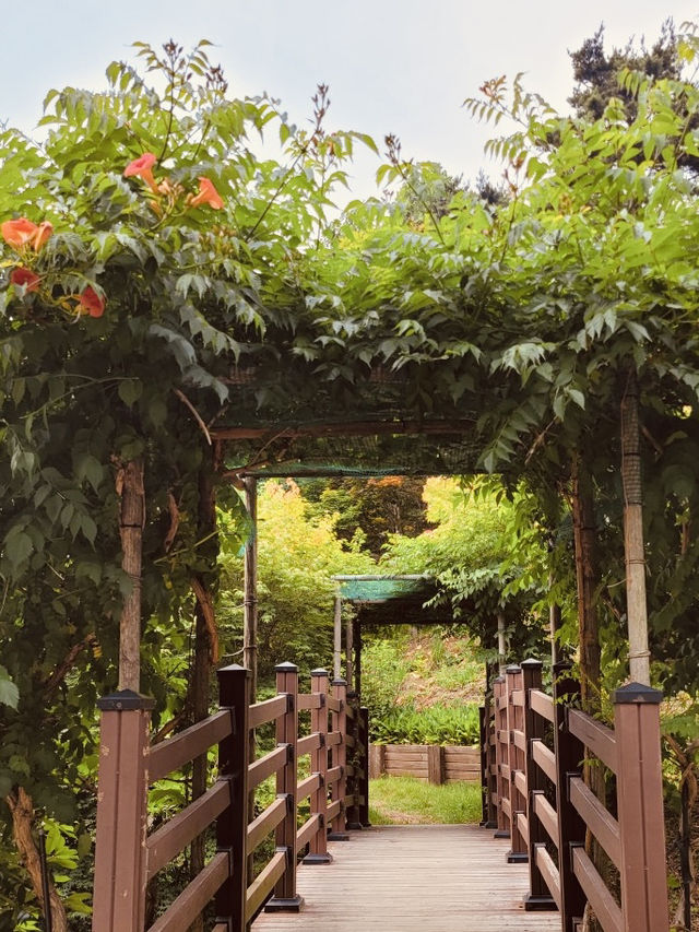 Spring's Hidden Botanical Treasures 
