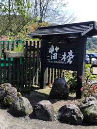 遠離塵囂忘憂好去處：陽明山苗榜海芋花園野菜餐廳🌿