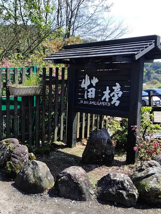 遠離塵囂忘憂好去處：陽明山苗榜海芋花園野菜餐廳🌿