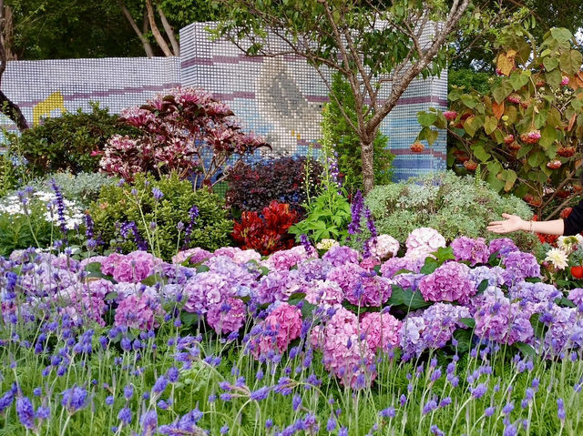 賞花及花伴野餐初體驗在大安森林公園