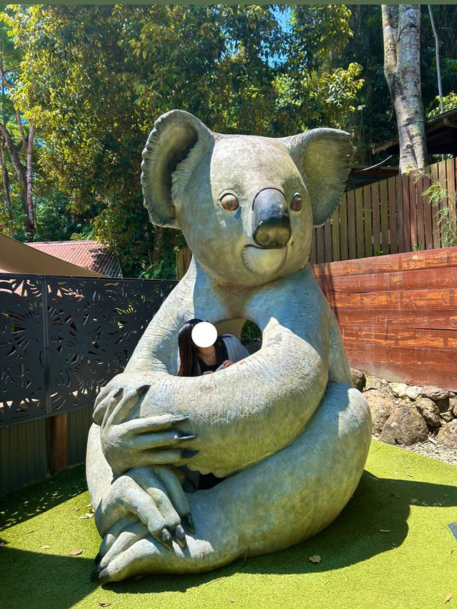 【キュランダ🇦🇺】コアラガーデン