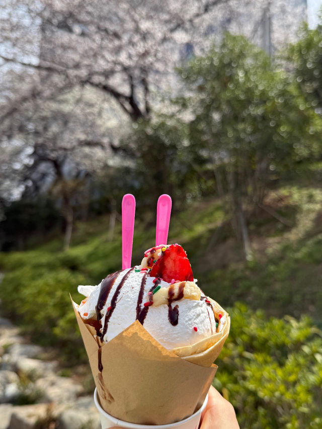 부산 도심속에서 떠나는 벚꽃여행 🎀