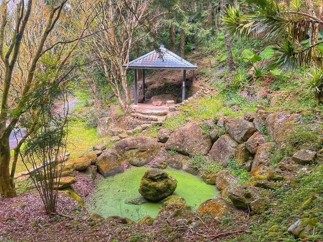嘉義旅行去 👣 ＂寒溪呢森林人文叡地＂