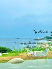 울산 서생에 위치한 느좋 오션뷰 카페 🌊