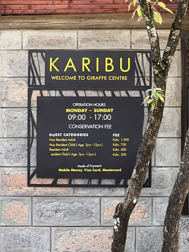 기린과 추억 쌓는 나이로비 케냐 기린 센터 🇰🇪