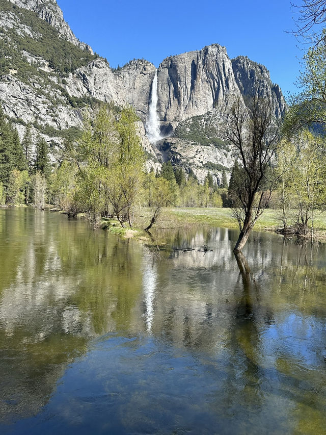 The most scenic national park in Spring!