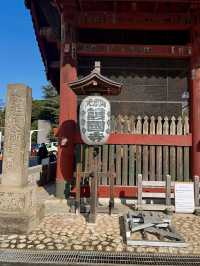 Spring Outing: Gokokuji Temple🌸
