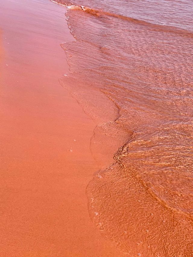 Red Sand Beach: Spring’s Crimson Canvas