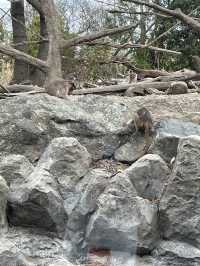 【山口】アート！遊園地！動物園！炭鉱！一日中楽しんで学べる公園・常磐公園