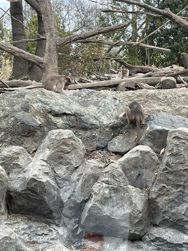 【山口】アート！遊園地！動物園！炭鉱！一日中楽しんで学べる公園・常磐公園