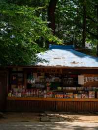 上川口屋🍡 – 雑司が谷の歴史を感じる和菓子店