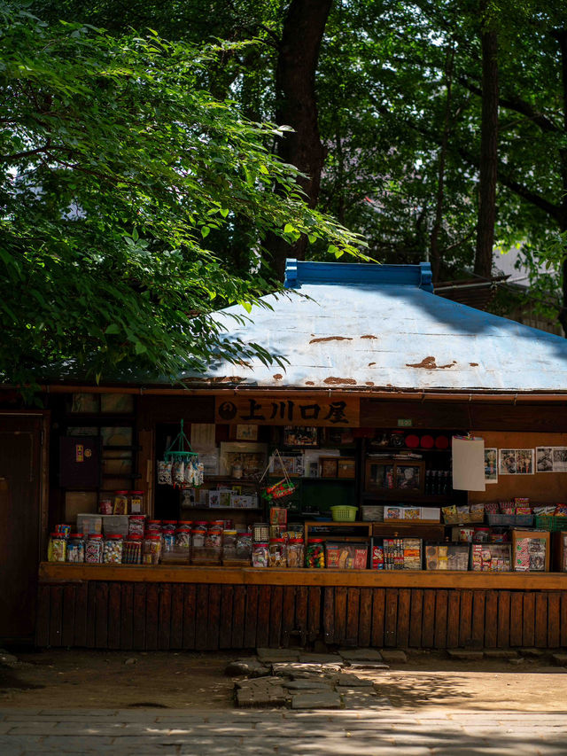 上川口屋🍡 – 雑司が谷の歴史を感じる和菓子店