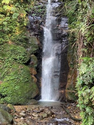 A Refreshing Escape in the Tranquil Forest | Waterfall Trail for a Relaxing Trip