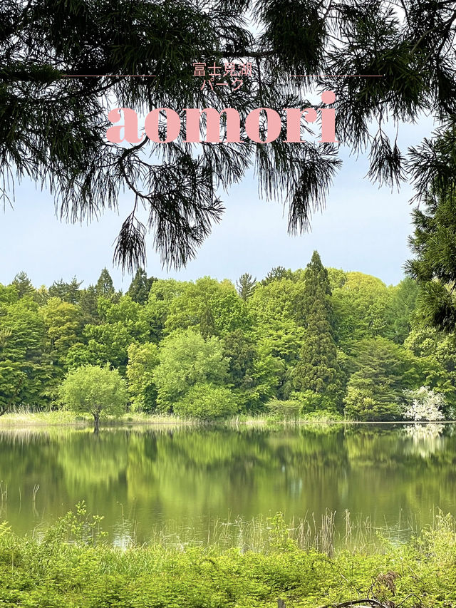 【青森×富士見パーク】湖面に映り込む木々の美しさ