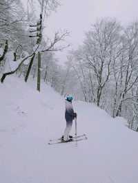 Tsugaike: Powder Playground in the Japanese Alps