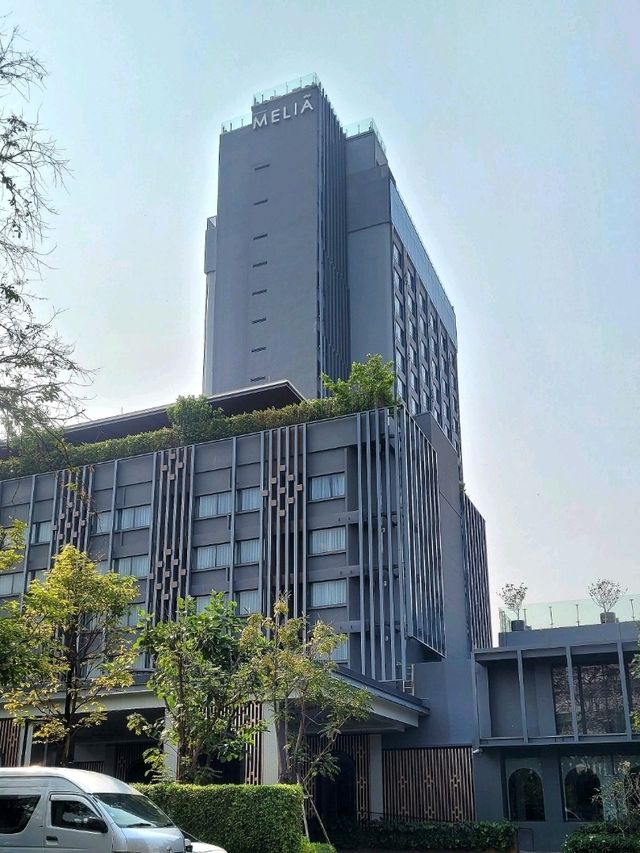 A TOUCH OF CHERRY BLOSSOM SIGHT YOU WON'T FORGET IN CHIANGMAI