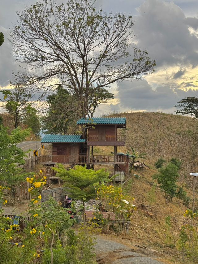 ไร่ลุงลอน จ.แพร่ 🏡⛰️🌤️🐶