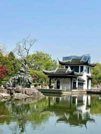 Hongmei Park: A Stroll Through Classical Elegance