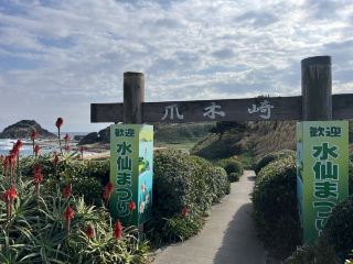 Experience a tropical paradise! Immerse yourself in the stunning blue hues of Shimoda's beaches on the Izu Peninsula.