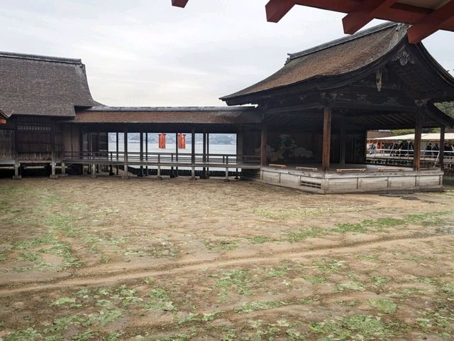 【広島】嚴島神社で海に浮かぶ鳥居を見る！