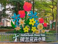 Netherlands Flower town / Dutch Flower town