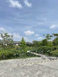 รวม 5 พิกัดสวนสาธารณะใจกลางกรุง 