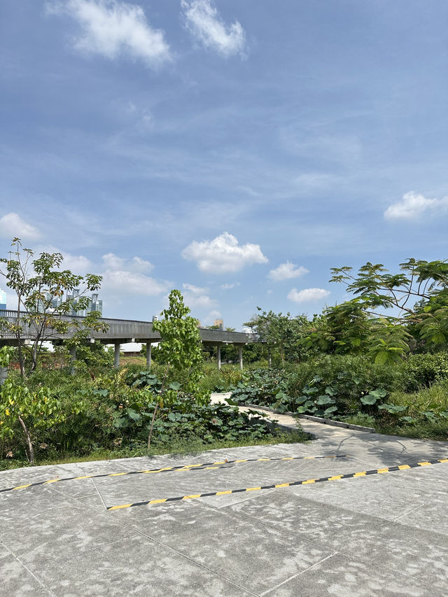 รวม 5 พิกัดสวนสาธารณะใจกลางกรุง 
