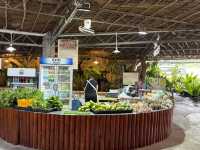 Veg Fish Farm Thai Restaurant, Lakeside Dining Experience in Hulu Langat