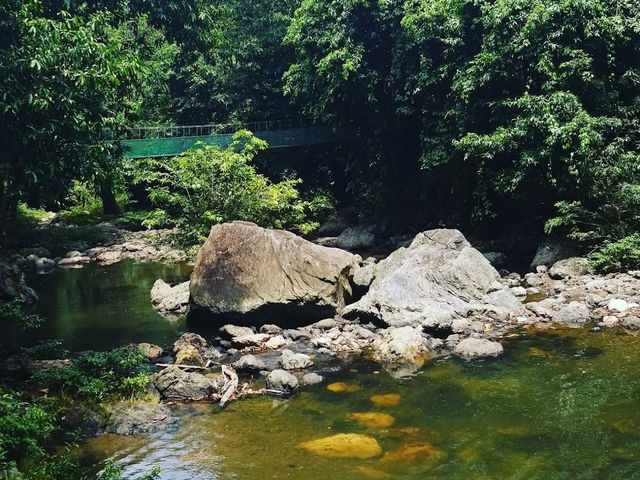 🦧 Tabin Wildlife Reserve: Where the Wild Things *Really* Are! 🌿