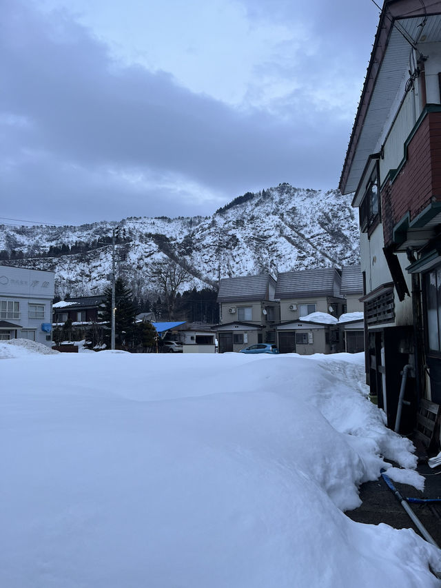 도쿄여행 근교 추천코스, 니가타현 에치고유자와 🌨️
