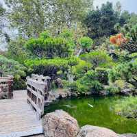 赤塚公園｜城市綠洲之美