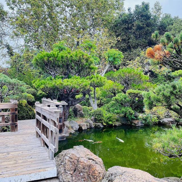 赤塚公園｜城市綠洲之美