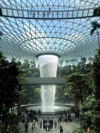 ชมน้ำตกในร่มที่สูงที่สุดใน Jewel Changi Airport