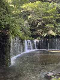 【長野県】軽井沢でマイナスイオンを浴びる🌱