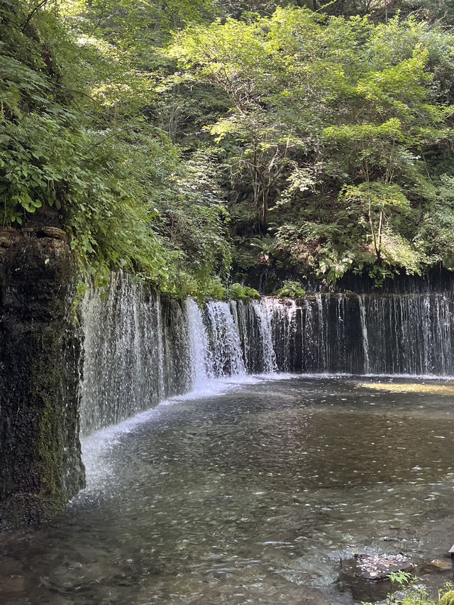 【長野県】軽井沢でマイナスイオンを浴びる🌱