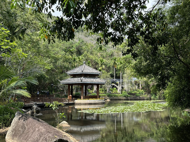 Tropical park YalongBay