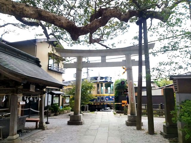 【鎌倉】鳥居の前を電車が横切る🚃御霊神社