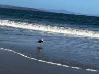 Explore the beauty of Hobart Tasmania 