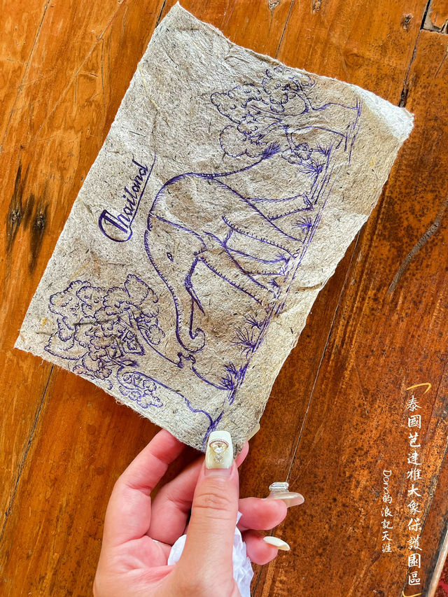 📍泰國的芭達雅。大象叢林保護園區｜與大象的親近之旅