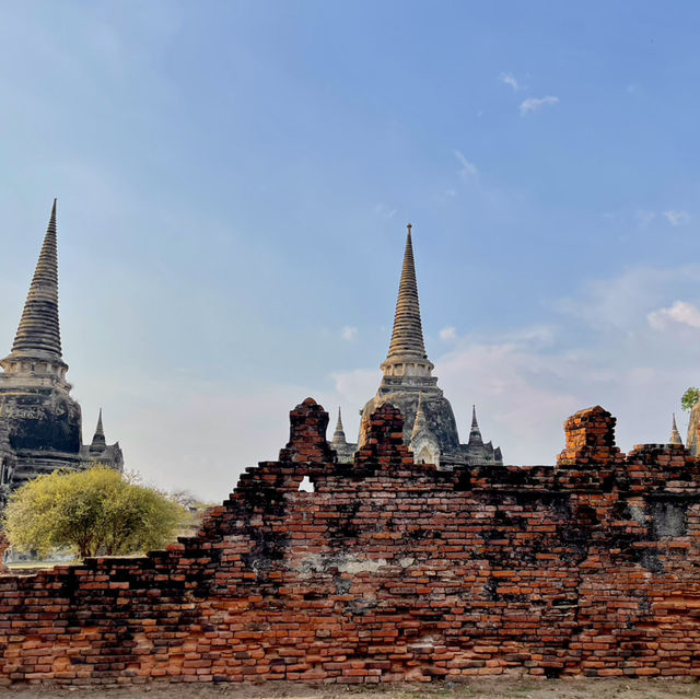 วิหารพระมงคลบพิตร อยุธยา 