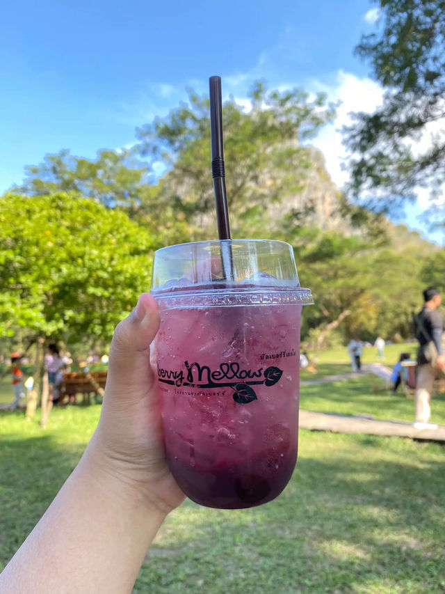 🌳 Mulberry Mellow คาเฟ่ที่มาเที่ยวกาญแล้วต้องแวะ!