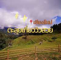 ตะลุยเที่ยวสุดชิว ที่เชียงใหม่ 🐑