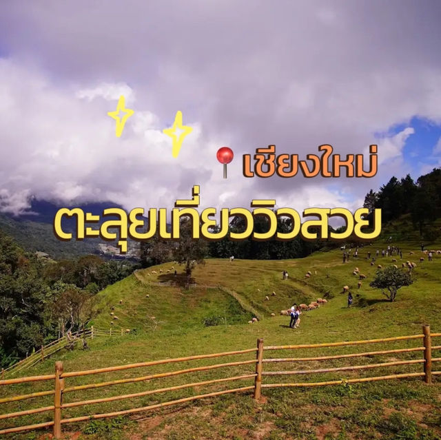ตะลุยเที่ยวสุดชิว ที่เชียงใหม่ 🐑