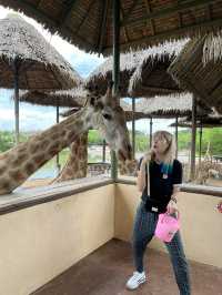 好玩程度破表！曼谷 Safari World 是我心中 No.1 的動物園