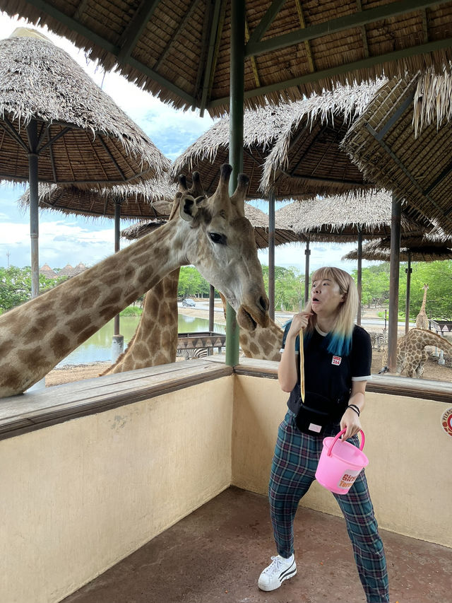 好玩程度破表！曼谷 Safari World 是我心中 No.1 的動物園