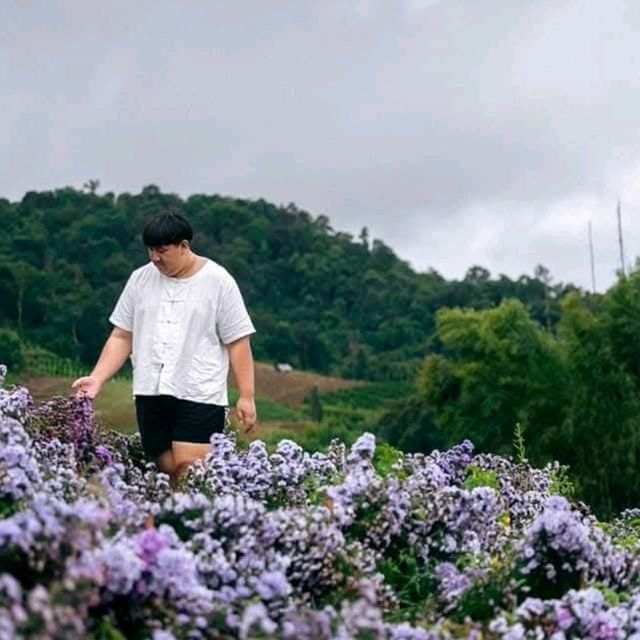 สวนดอกไม้ ป้างฮวา 🌺 l เชียงใหม่