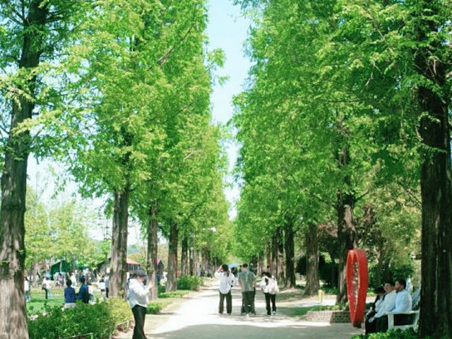 모든 순간이 초록 🌱순천만국가정원