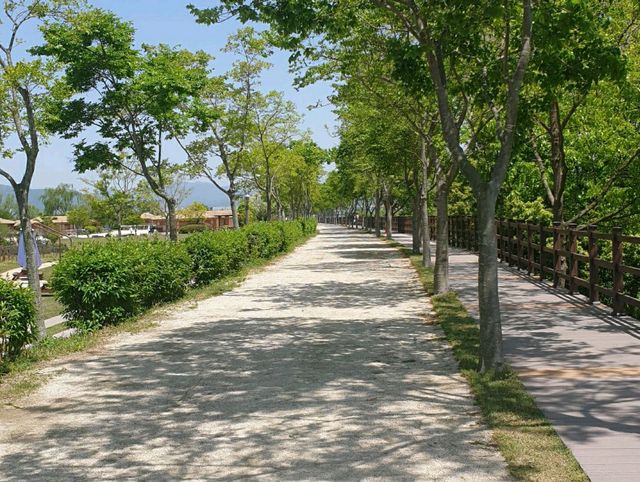 살아있는 자연 순천만습지 
