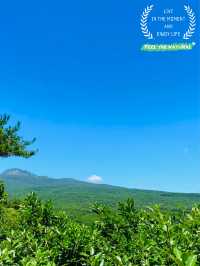 A Breath of Fresh Air and Panoramic Views at Seogwipo Natural Recreational Forest