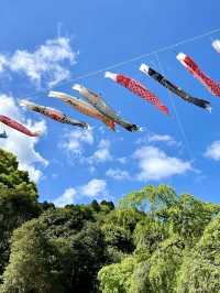 Spring Hike at Himenosawa Park